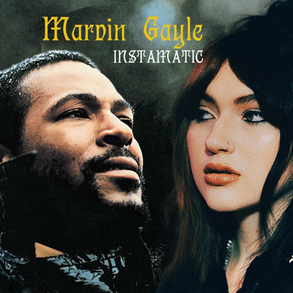 Instamatic Marvin Gayle (Gayle vs Marvin Gaye) ABCDEFU What's Going On mashup bootleg bastard pop soul fuck you