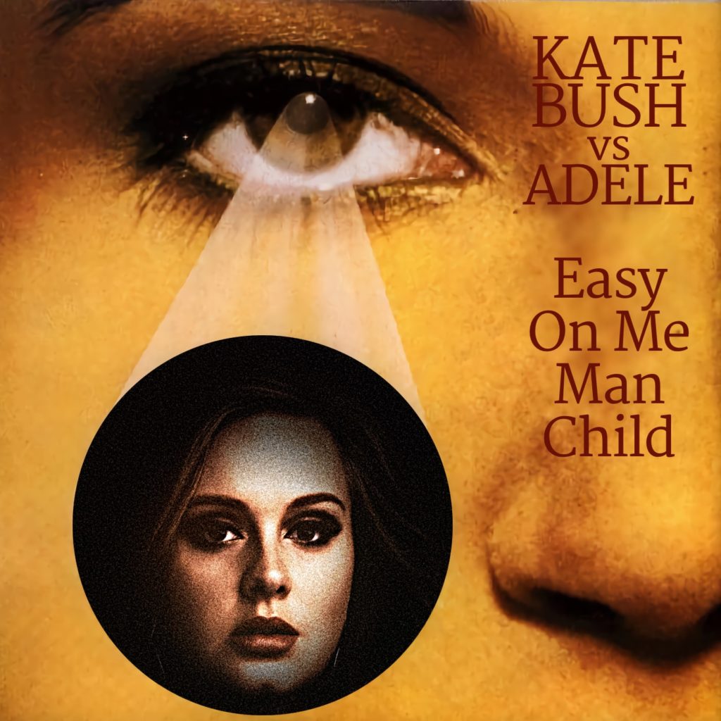 tbc aka Instamatic - Easy On Me Man Child (Adele vs Kate Bush) mashup