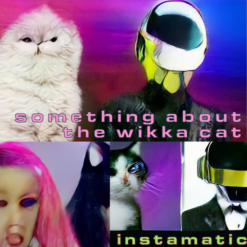 Something About The Wikka Cat (Evasions vs Doja Cat vs Daft Punk) something about the wikka cat