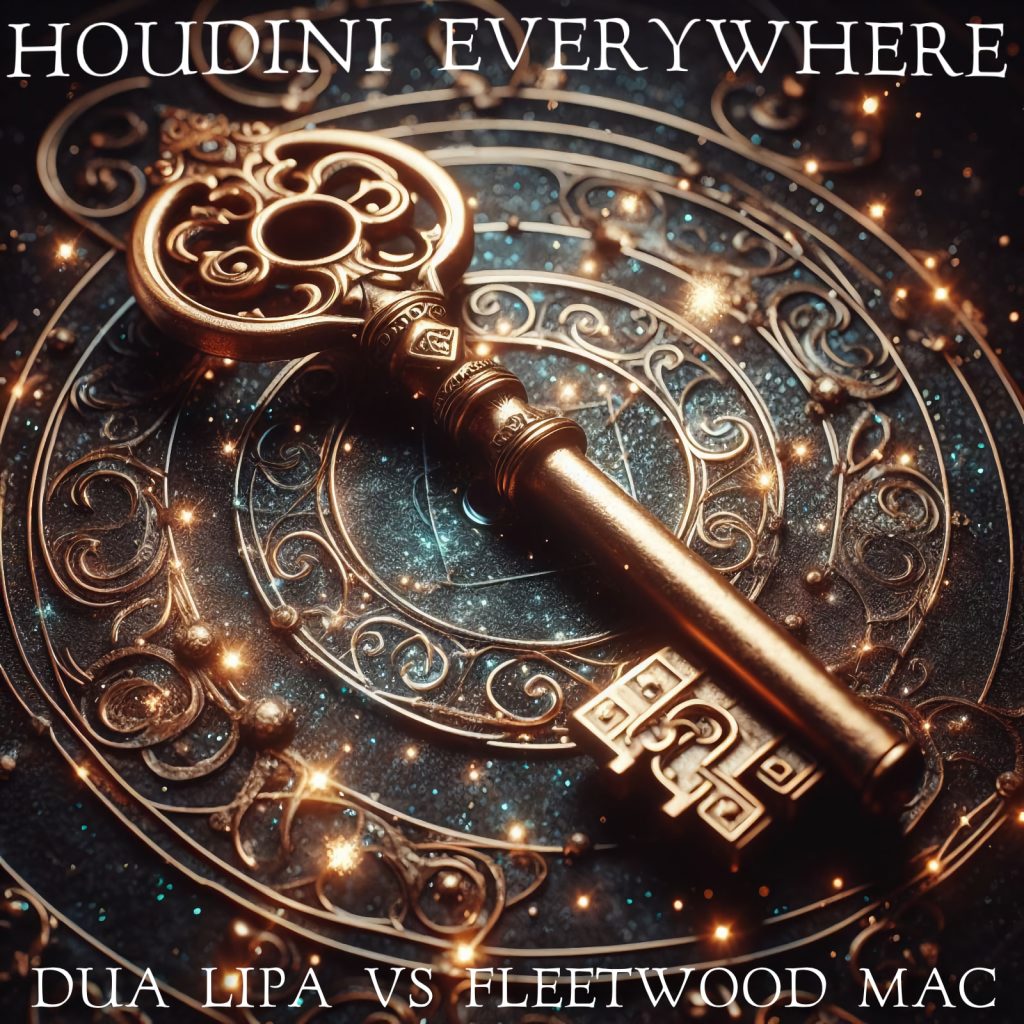Captain Obvious - Houdini Everywhere (Dua Lipa vs Fleetwood Mac) cover